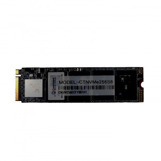Consistent 256GB NVMe PCIe M.2 SSD 2280, 3D NAND with SLC Cache